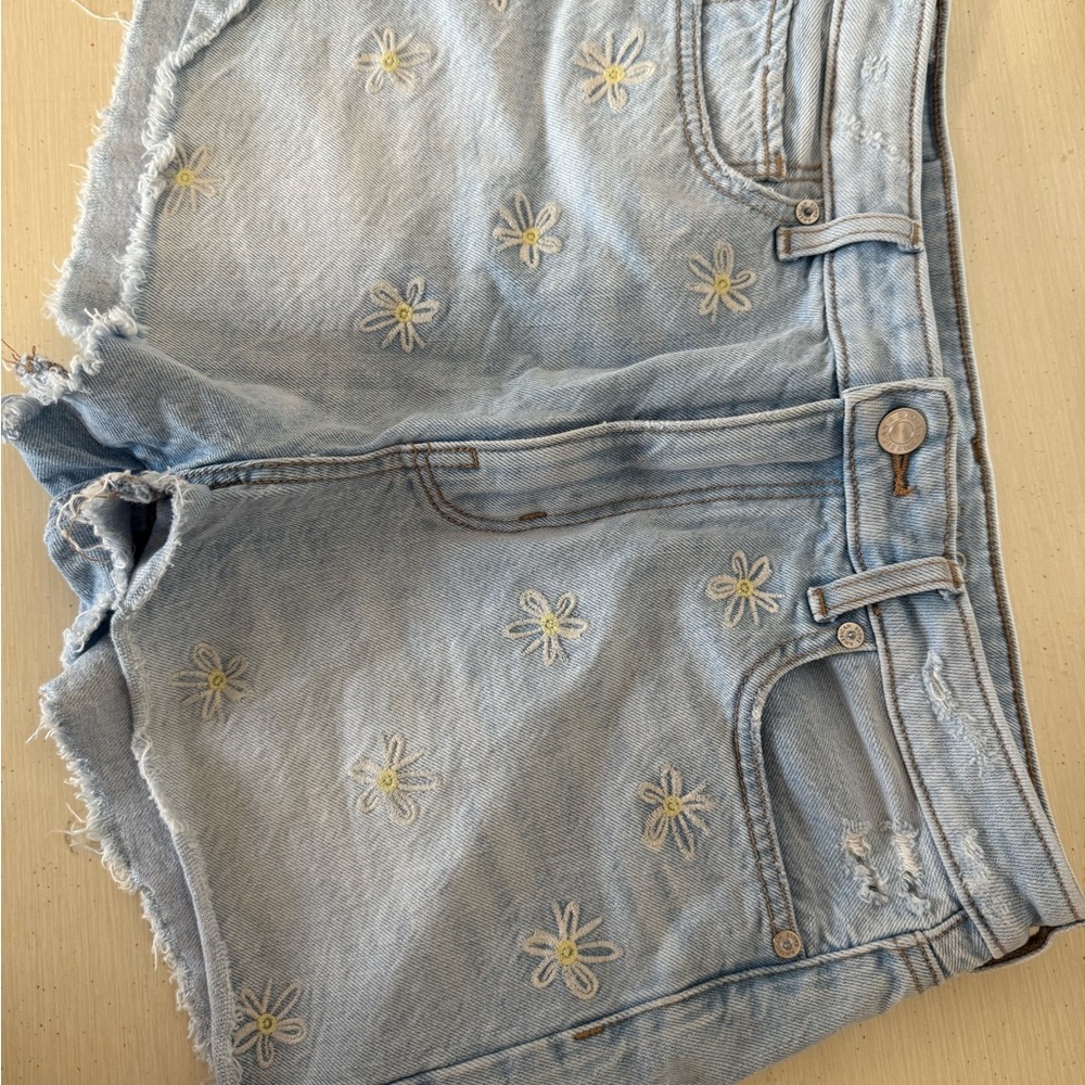 American Eagle Light Blue Jean Shorts with Daisy Embroidery